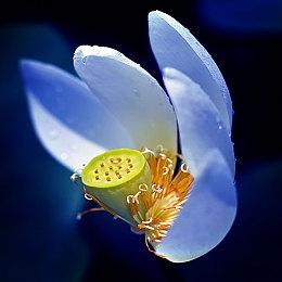 弹幕射击游戏《擦弹反击GM》将于明年1＆18推出